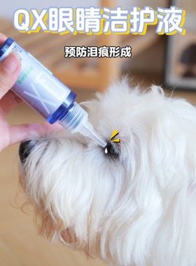 小白家香港QX眼部清洁液西高地猫咪狗狗眼药水消炎泪痕护理银离子