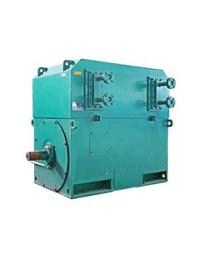 西安电机YXS4004-4极630W6V高压鼠笼型交流三相异步电动机