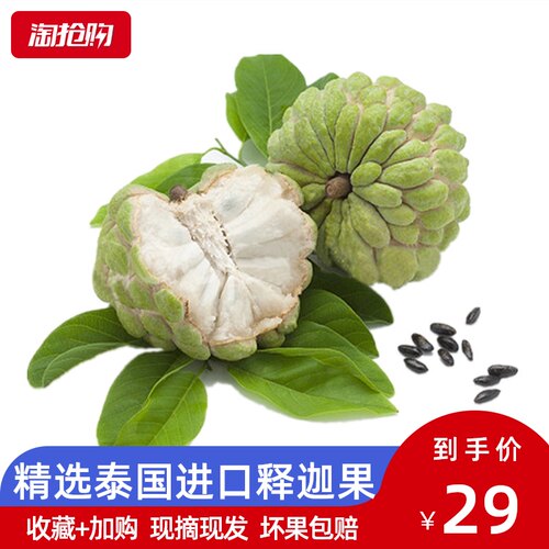 热带水果大目水果价格 热带水果大目水果图片 星期三