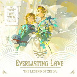【完售不补】北山栖永恒的爱 塞尔达林塞同人明信片吧唧透卡