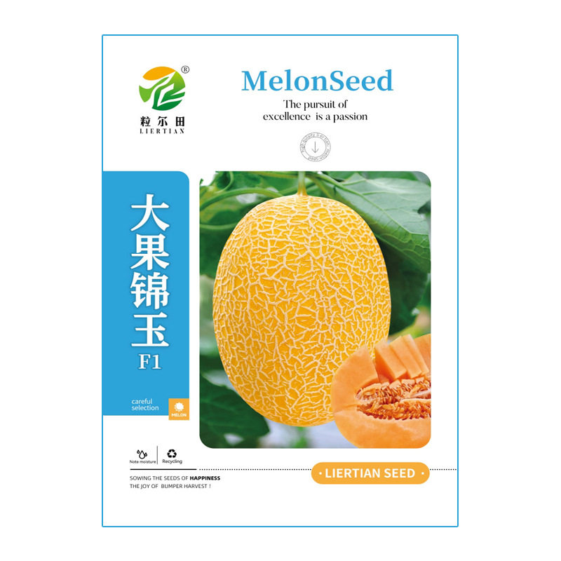 大果型黄皮红肉哈密瓜种子粒尔田大果锦玉黄皮网纹瓜种子脆爽蜜甜