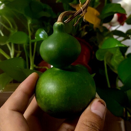 特小手捻翠玉墨绿葫芦八宝种子籽