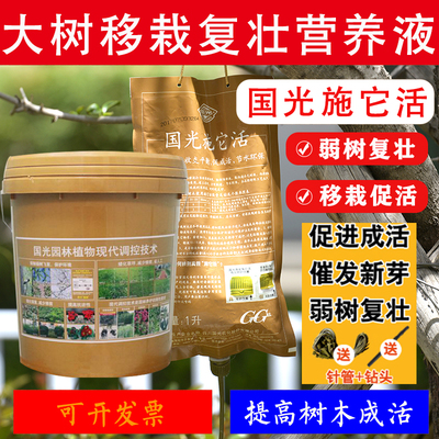 国光施它活大树吊针液复壮营养液