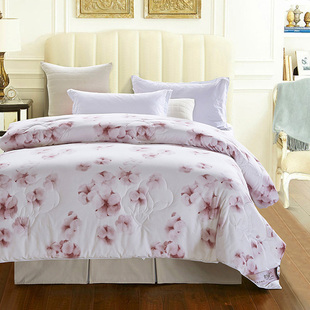 元绒棉棉花大豆竹碳玉米纤维加厚保暖冬被单双人学生宿舍春秋被褥