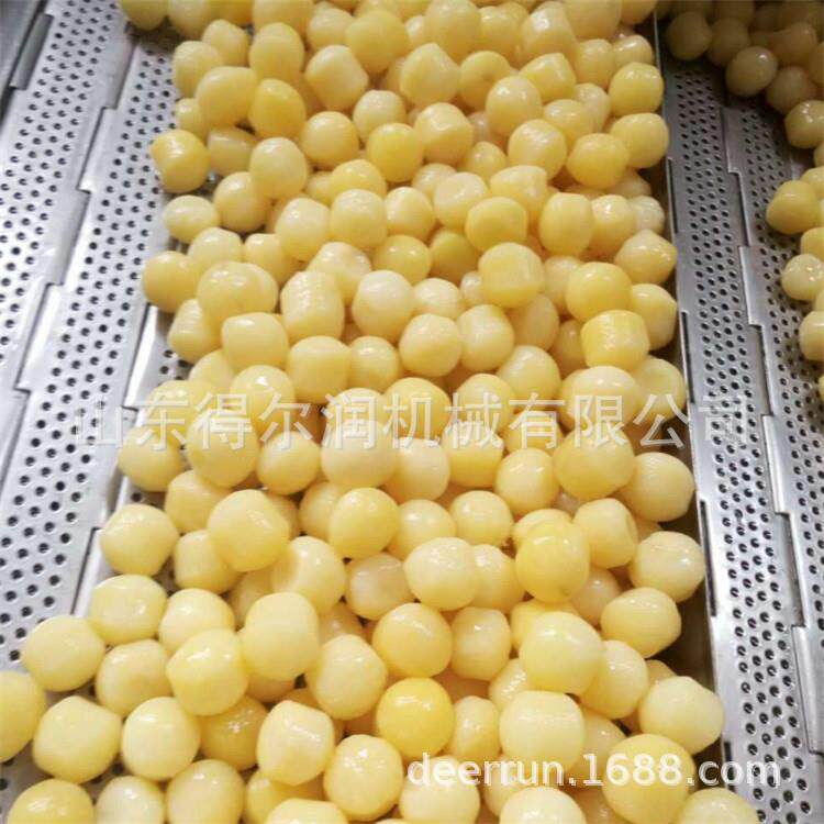 荷兰速冻土豆球加工流水线 小型芋头机器 红薯球清洗蒸煮油炸设备