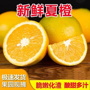 湖南永州江永夏橙新鲜橙子榨汁橙现摘当季水果