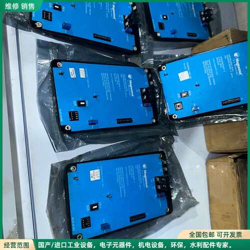 可维修Magnetrol 30-030-2163-001 E Z