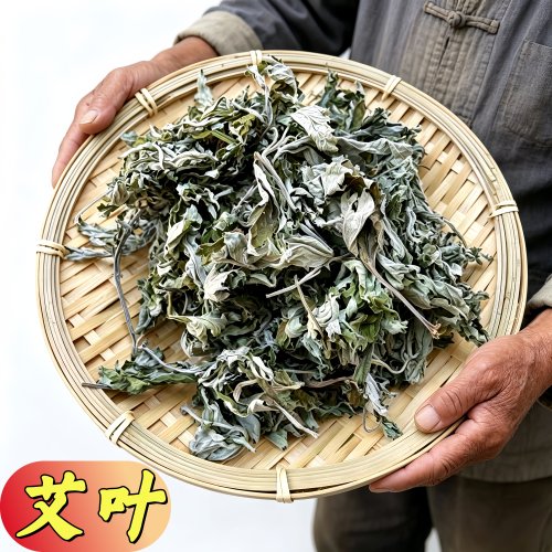 艾草叶子精选去杂的大艾叶做艾绒