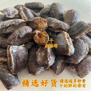 桑螵蛸螳螂卵螳螂籽刀螂籽精选去杂生桑螵蛸干桑螵蛸新货超多卵黄