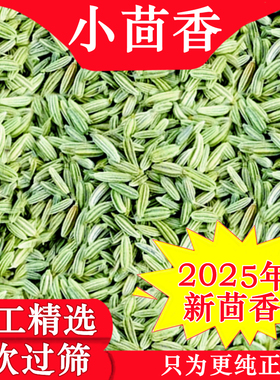 〔2025年新货〕甘肃小茴香500g香调料卤肉料另售花椒香叶桂皮八角