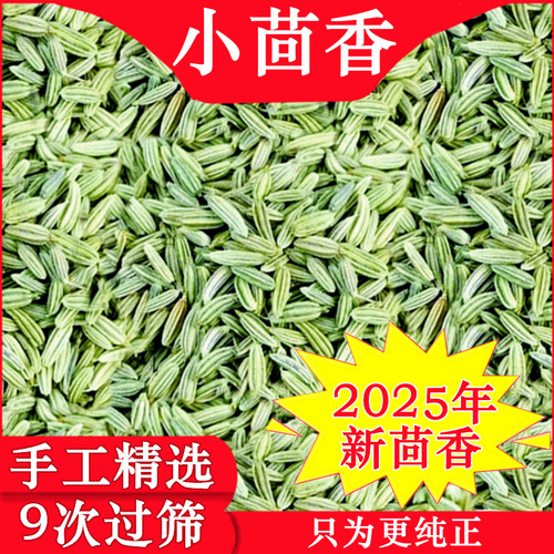 2025年新小茴香，特绿特香