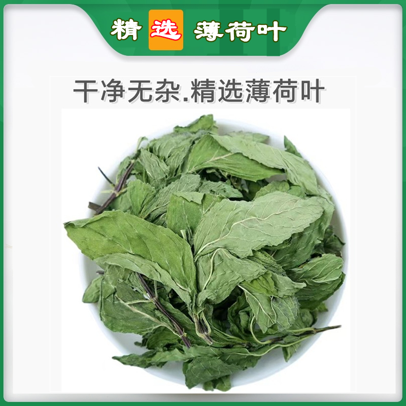 【精选】薄荷叶泡茶泡水