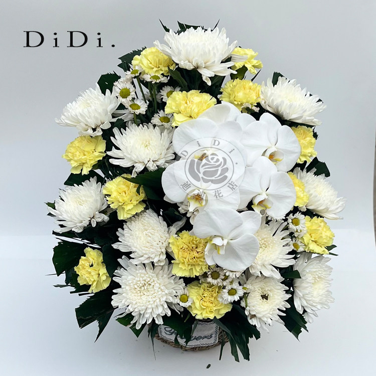 清明节扫墓扇面白蝴蝶兰白菊康乃馨混搭祭奠哀思北京同城鲜花速递