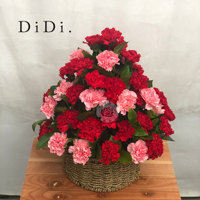 三八节康乃馨小花篮送长辈妈妈生日感谢老师礼物北京同城鲜花速递