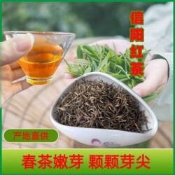 信阳红茶特级嫩芽全芽茶雨前采摘100g散装茶叶毛尖茶新县特产春茶