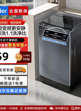 Haier/海尔EB100B32Mate1直驱变频波轮洗衣机全自动10kg租房