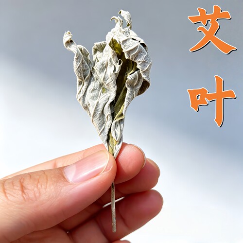 2026精选干艾叶干净无杂家用优选