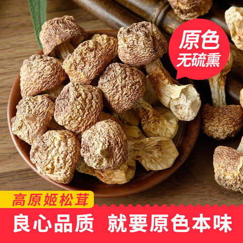 松茸野生菌价格_松茸野生菌图片- 星期三