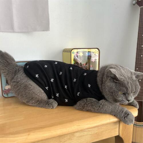 黑色蝴蝶宠物猫咪衣服春秋夏季透气防脱不掉毛帅气吊带背心式弹性