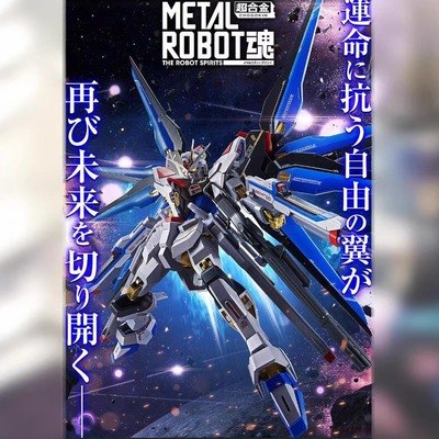 万代 魂限定 METAL ROBOT  强袭自由高达2式  日版 现货