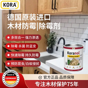 德国进口KORA杀菌除霉剂欧松板防霉剂防白蚁海洋板蓝灰昆虫竹板材