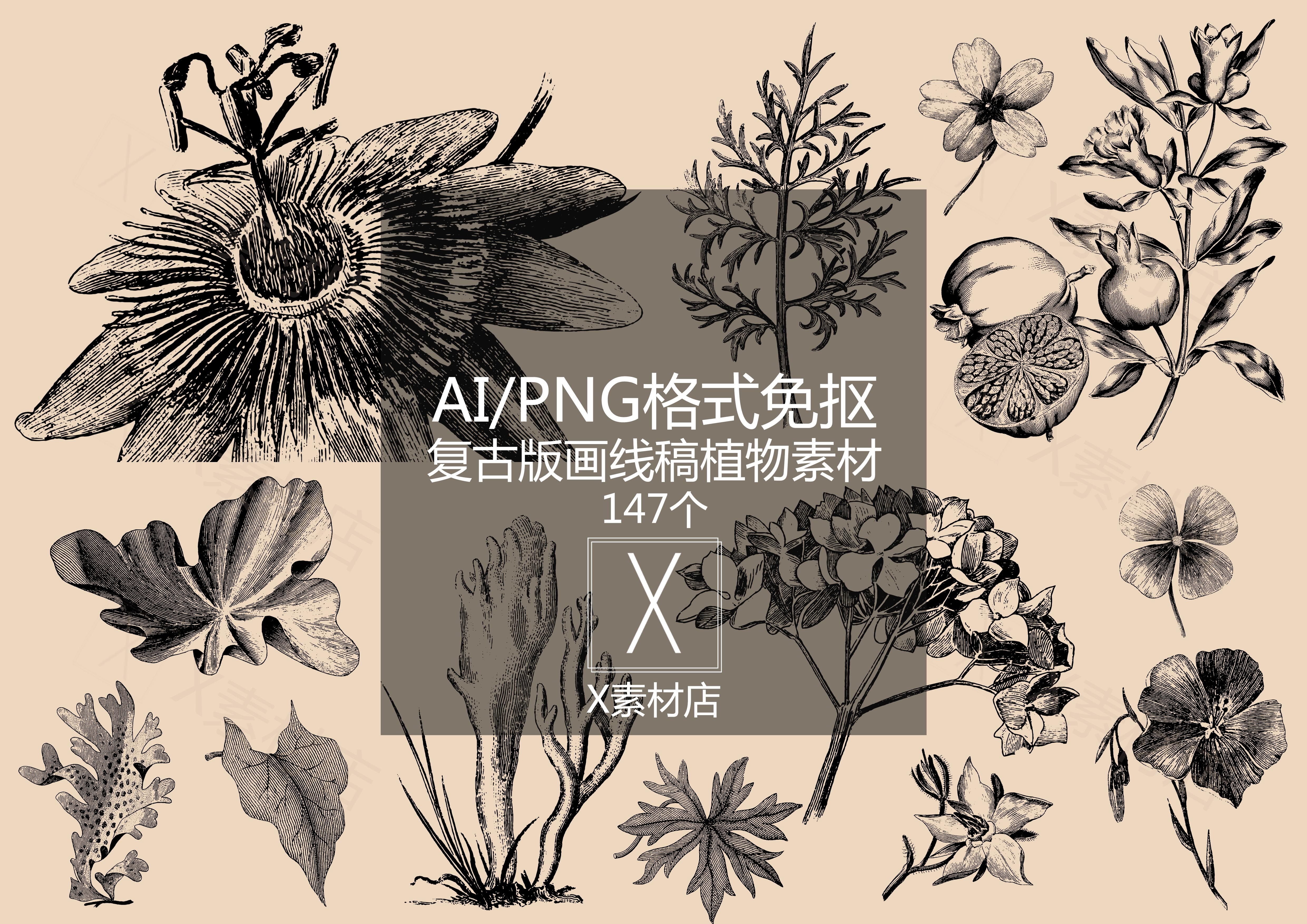 ai/png复古版画线稿手绘植物亚麻绣球地衣蘑菇素材拼贴collage