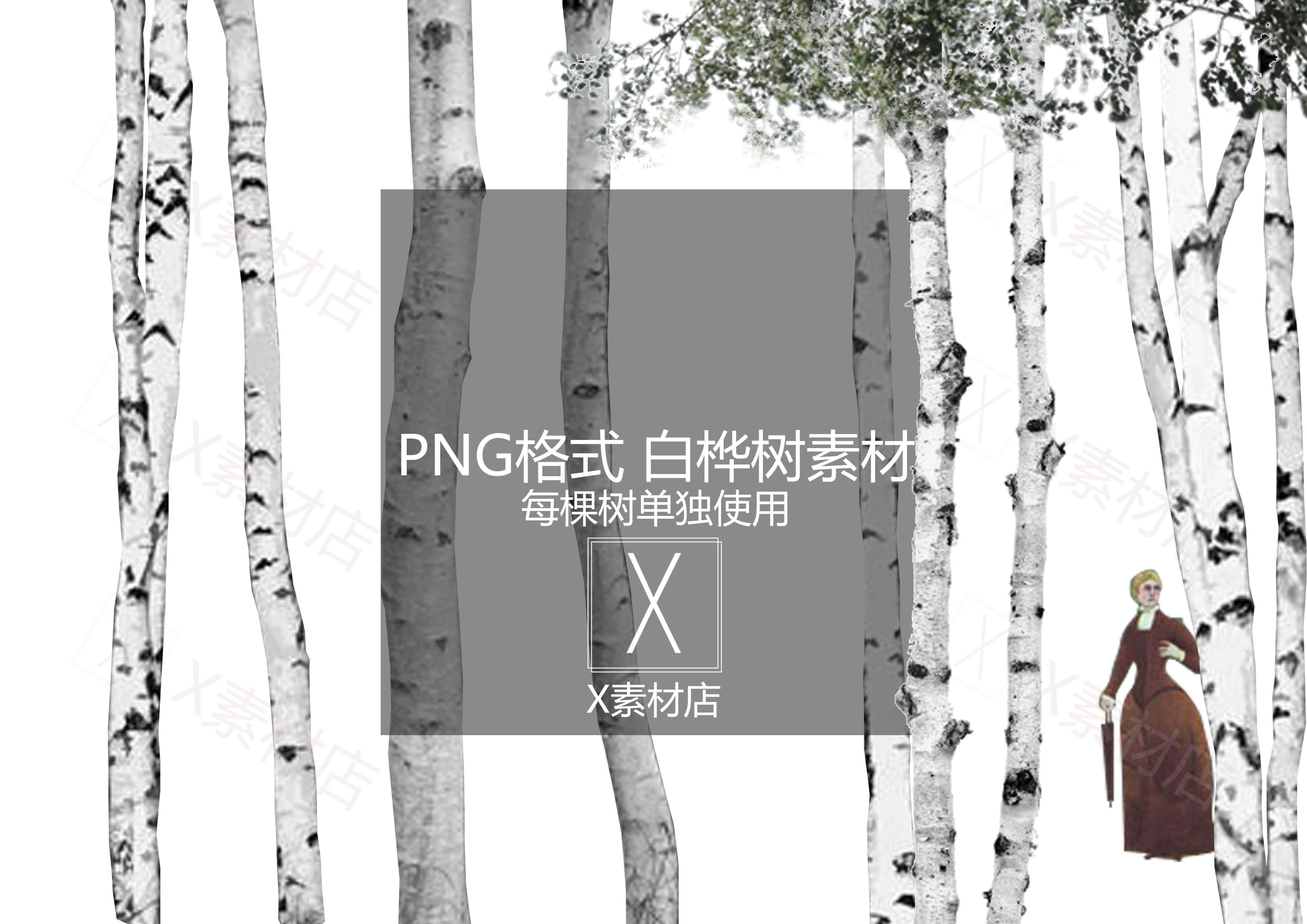psd/png 格式白桦树景观拼贴效果图素材 自动发货>