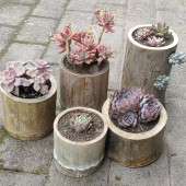 天然荫干老楠竹毛竹道具竹筒造景复古原竹编竹雕竹杯定制干黄竹子