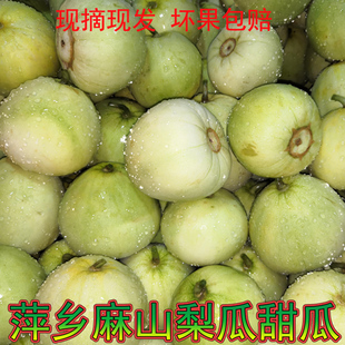 江西萍乡本地梨瓜小离瓜麻山幸福村农家白香瓜甜瓜黄瓜4斤装现摘