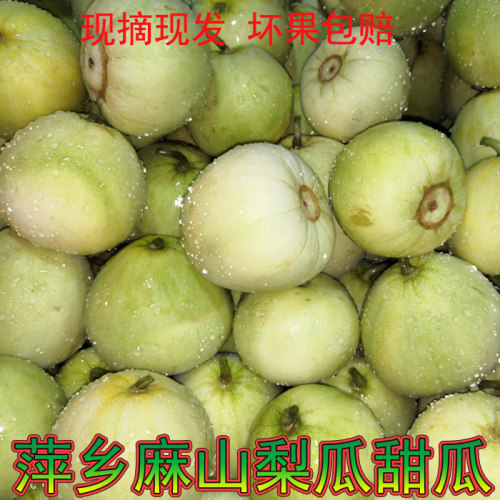 江西萍乡本地瓜小离幸福村农家
