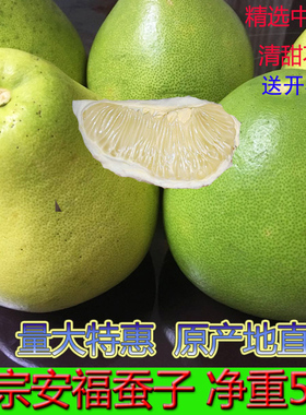 正宗安福蚕子江西特产萍乡蚕子柚吉安金兰柚横龙武功山柚子5斤甜
