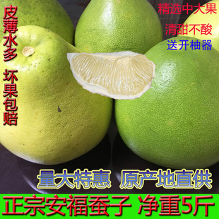 正宗安福蚕子江西特产萍乡蚕子柚吉安金兰柚横龙武功山柚子5斤甜