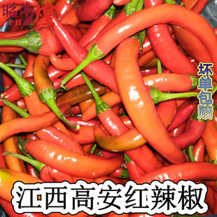 新鲜高安红辣椒 宜春江西本地辣椒萍乡湖南辣椒500g一斤中辣剁椒