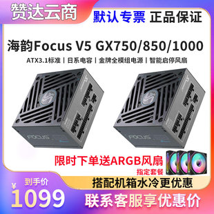 海韵Focus V5 GX850 1000 750W白金全模组ATX3主机台式机电脑电源