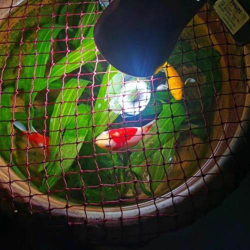 水生植物过滤器水族箱过滤网