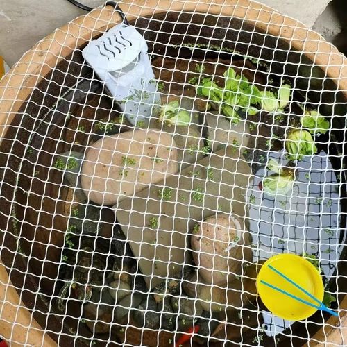 防逃网防逃盖圆型鱼缸防跳防猫抓网罩防跳网圆形防跳网圆形防跳缸