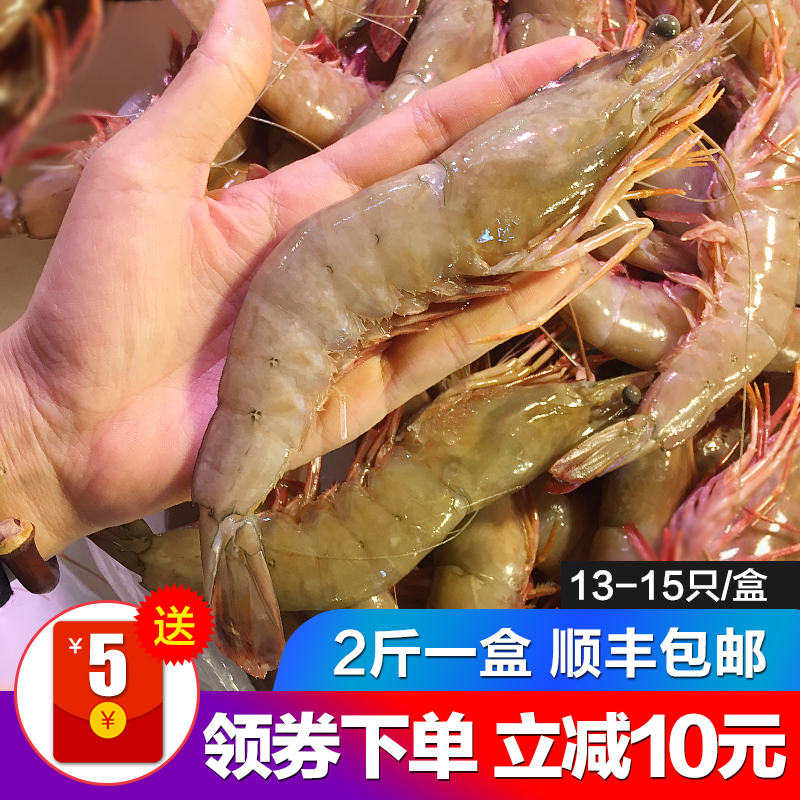 青岛野生大对虾大明虾渤海湾大虾