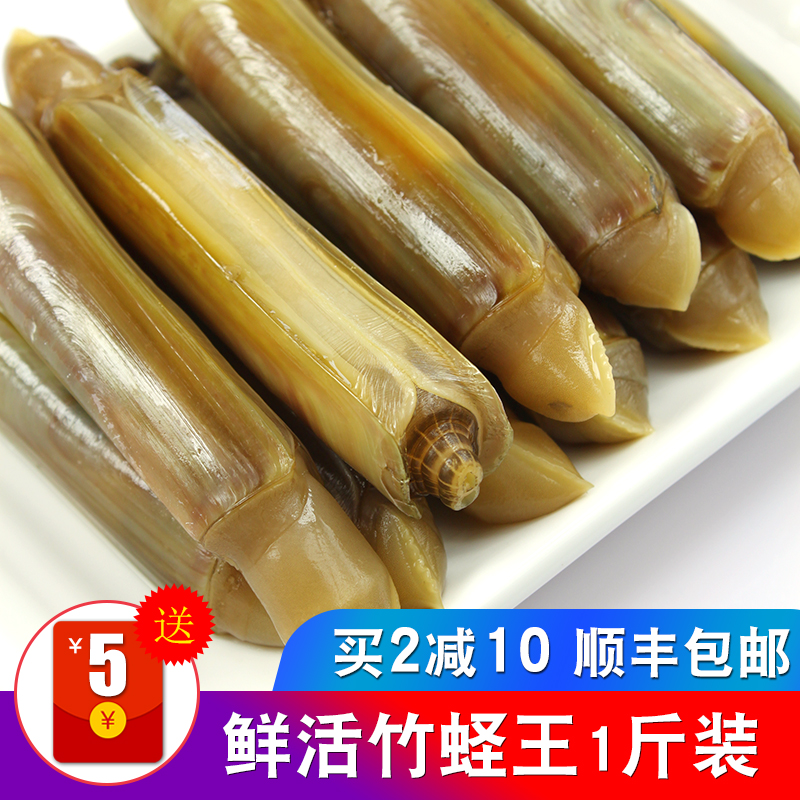 单个挑鲜活发货超大竹蛏王超肥鲜