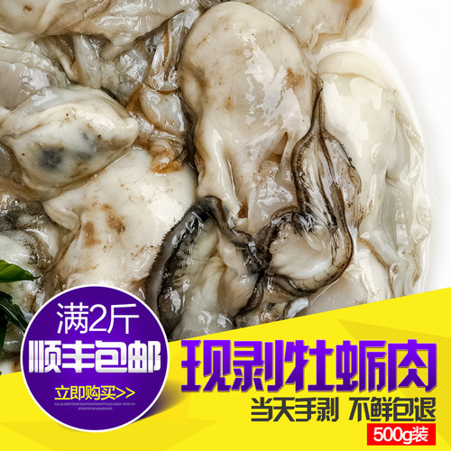 当天现剥青岛超大牡蛎肉新鲜肥美