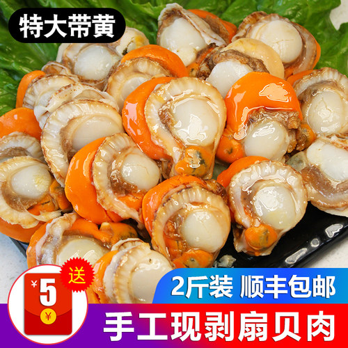 特大号新鲜扇贝肉手工现剥无添加