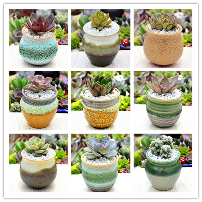 包邮窑变素烧汽泡流釉粗陶还原创意简约个性桌面多肉陶瓷花盆新款,鲜花速递/花卉仿真/绿植园艺,花盆,淘宝优惠券,粉丝福利购,淘宝优惠卷