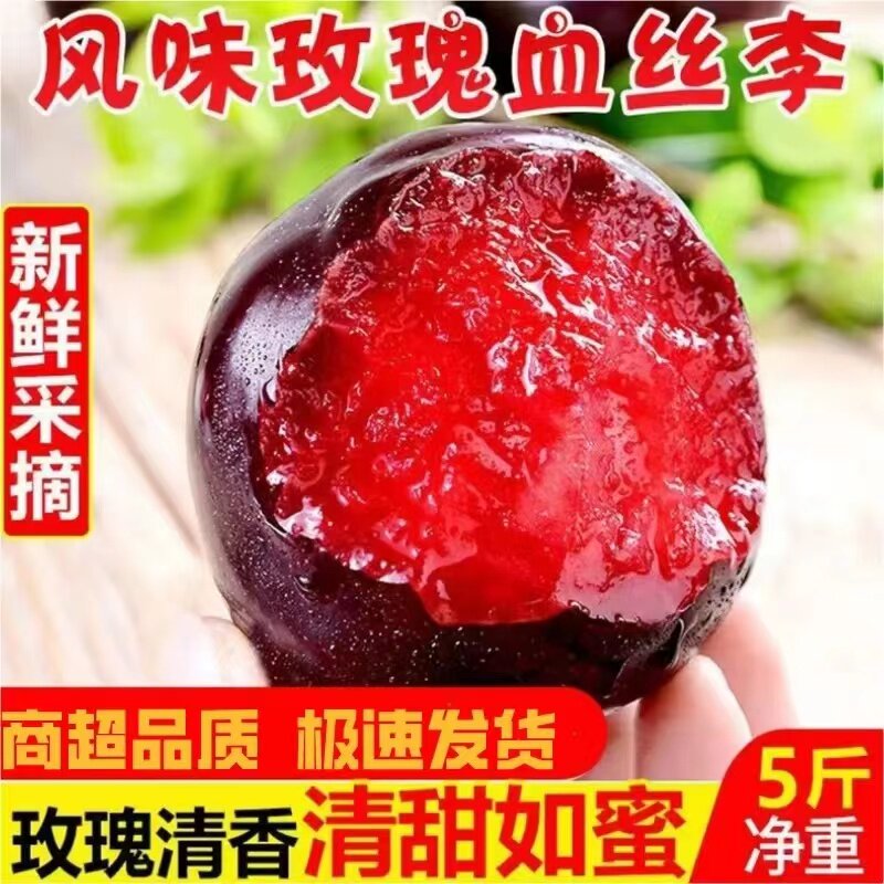 灵宝新鲜风味玫瑰血李子软甜红肉红心李子水果恐龙蛋纯甜纯甜包邮