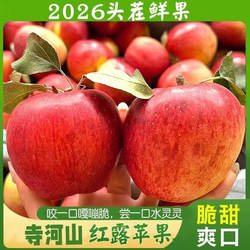 2026新鲜灵宝寺河山红露脆甜苹果农家高山现摘脆甜汁多包邮无SOD