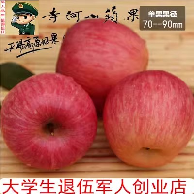 2025年新鲜灵宝寺河山红富士苹果农家高山现摘脆甜汁多包邮无SOD