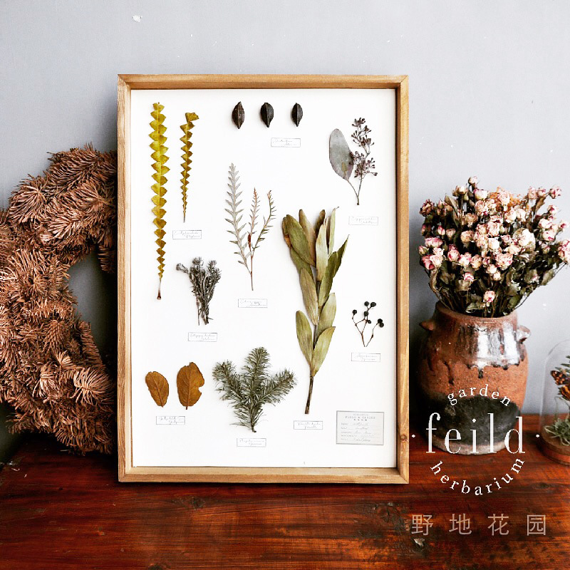 ins植物标本装饰画照片墙沙发背景墙样板间田园民宿立体干花相框图片