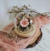 永生花玫瑰玻璃罩向日葵太阳花伴手礼毕业礼物送闺蜜送老师教师节