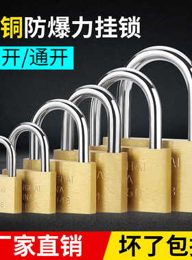 地球全铜加长挂锁柜子门锁防盗小锁头通开通用挂锁箱包锁电力锁