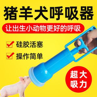 仔猪用呼吸器羊水抽子母猪生产设备小羊呼吸器畜牧宠物犬用呼吸泵
