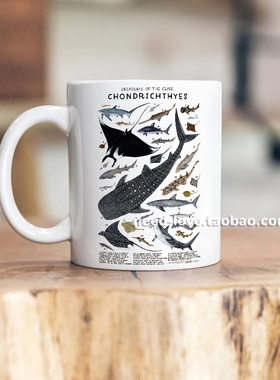 软骨鱼纲魔鬼鱼鲨鱼海洋动物马克杯咖啡喝水杯子办公室科普礼物