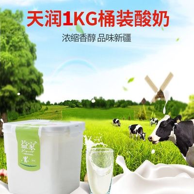 新疆天润低温佳丽益家方桶老酸奶风味家庭装 1kg2KG*1桶老少皆宜